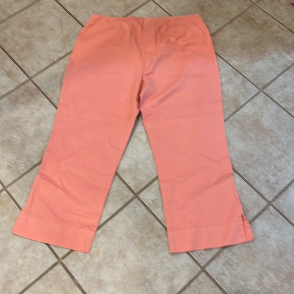 Eva Jh Collectibles Pants Sz 16 - Picture 4 of 10